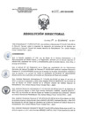 Vista preliminar de documento RD 234-2017-SA-DG-INR