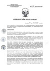 Vista preliminar de documento RD 238-2017-SA-DG-INR