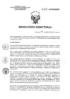 Vista preliminar de documento RD 236-2017-SA-DG-INR