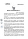 Vista preliminar de documento RD 231-2017-SA-DG-INR