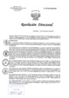 Vista preliminar de documento RD 230-2017-SA-DG-INR