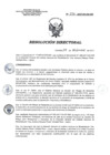Vista preliminar de documento RD 237-2017-SA-DG-INR