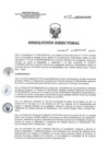 Vista preliminar de documento RD 241-2017-SA-DG-INR