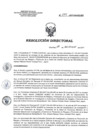Vista preliminar de documento RD 242-2017-SA-DG-INR