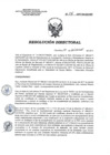 Vista preliminar de documento RD 216-2017-SA-DG-INR