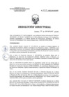 Vista preliminar de documento RD 244-2017-SA-DG-INR