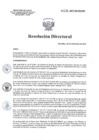 Vista preliminar de documento RD 246-2017-SA-DG-INR