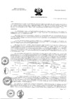 Vista preliminar de documento RA N° 216-2021-OEA-HCH