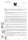 Vista preliminar de documento RA N° 226-2021-OEA-HCH