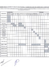 Vista preliminar de documento cronograma_de_actividades