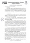 Vista preliminar de documento Acuerdo Regional Nº 207-2023