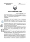 Vista preliminar de documento RD 162-2017-SA-DG-INR