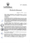 Vista preliminar de documento RD 156-2016-SA-DG-INR