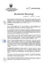 Vista preliminar de documento RD 159-2016-SA-DG-INR