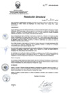 Vista preliminar de documento RD 173-2016-SA-DG-INR