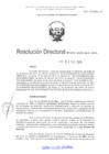 Vista preliminar de documento RD-0010-2019-DGIA