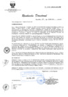Vista preliminar de documento RD 048-2015-SA-DG-INR