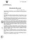 Vista preliminar de documento RD 041-2015-SA-DG-INR
