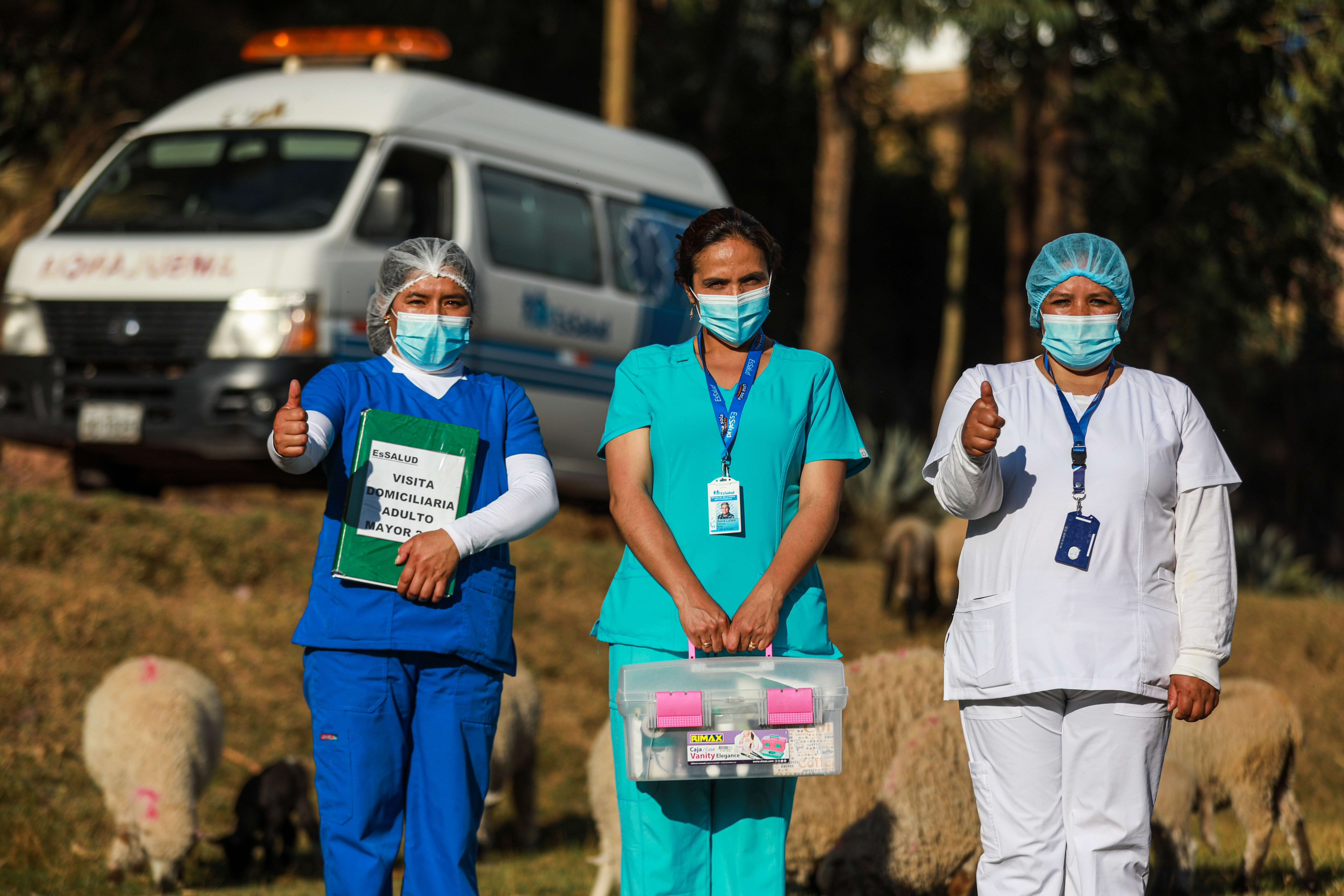 EsSalud lleva atención médica domiciliaria a los adultos mayores que viven solos en zona rural del Cusco