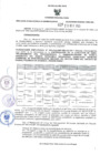 Vista preliminar de documento RES-386-2023-ORA (1)