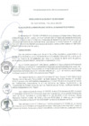 Vista preliminar de documento RA 133-2021