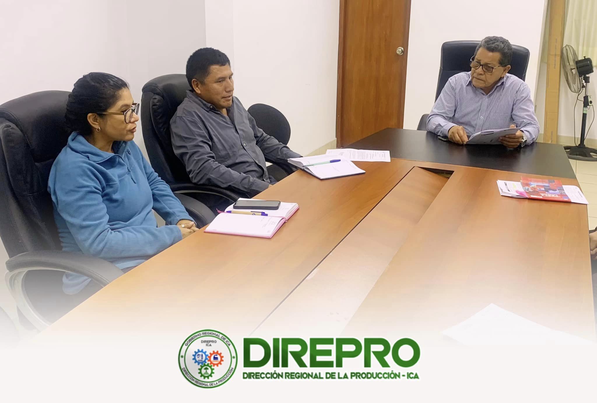 Reunión sobre el informe del trabajo de campo en el litoral del sector 2