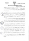 Vista preliminar de documento Resolución Directoral N.° 451-2023-D-HD-HVCA/DE
