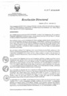 Vista preliminar de documento RD 004-2013-SA-DG-INR