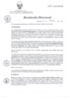 Vista preliminar de documento RD 050-2013-SA-DG-INR