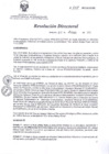 Vista preliminar de documento RD 058-2013-SA-DG-INR