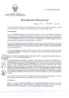Vista preliminar de documento RD 082-2013-SA-DG-INR
