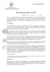 Vista preliminar de documento RD 099-2013-SA-DG-INR