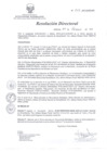 Vista preliminar de documento RD 024-2013-SA-DG-INR