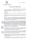 Vista preliminar de documento RD 185-2013-SA-DG-INR