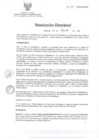 Vista preliminar de documento RD 153-2013-SA-DG-INR