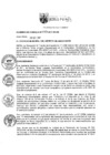 Vista preliminar de documento AC-057-2017-MDJM