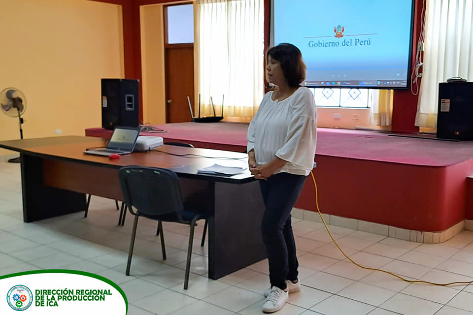 Taller de Transferencia de Resultados de Proyectos Exitosos Ica
