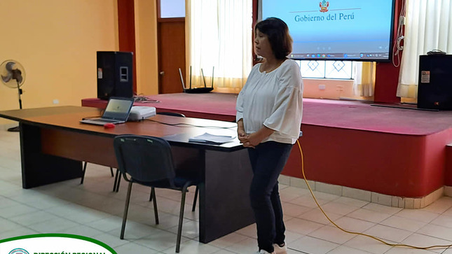 Taller de Transferencia de Resultados de Proyectos Exitosos Ica
