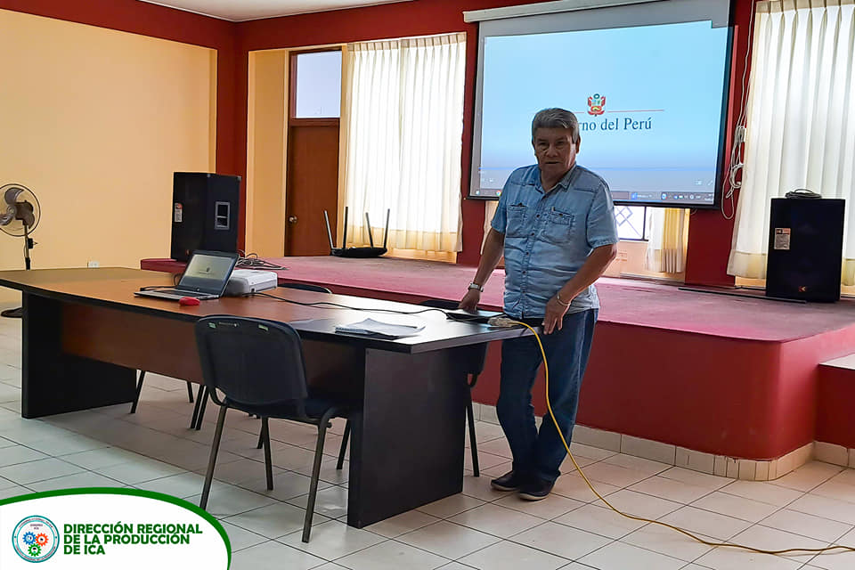 Taller de Transferencia de Resultados de Proyectos Exitosos Ica