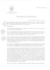 Vista preliminar de documento RD 252-2010-SA-DG-INR