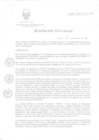 Vista preliminar de documento RD 238-2010-SA-DG-INR