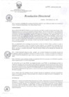 Vista preliminar de documento RD 299-2010-SA-DG-INR