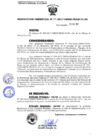 Vista preliminar de documento 295-2017-GRSM-PEAM-01.00