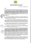 Vista preliminar de documento AC-2023-091