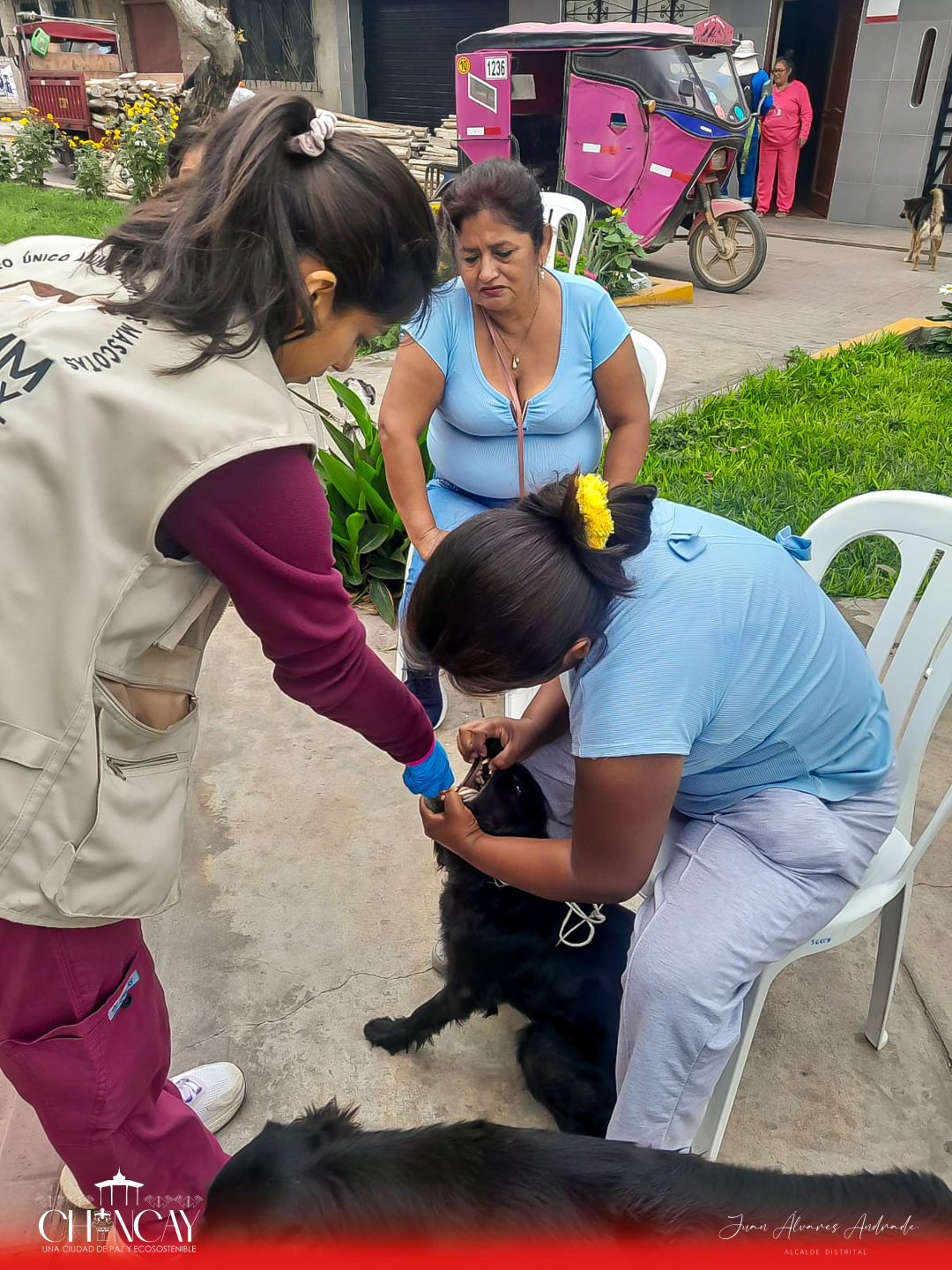 Esta iniciativa tiene como objetivo principal promover la salud y el bienestar de nuestras queridas mascotas, asegurando que estén libres de parásitos que puedan afectar su calidad de vida.