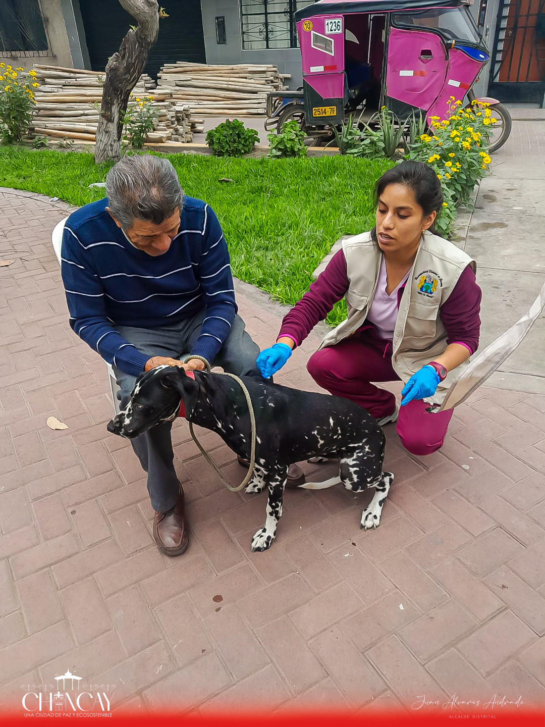 Esta iniciativa tiene como objetivo principal promover la salud y el bienestar de nuestras queridas mascotas, asegurando que estén libres de parásitos que puedan afectar su calidad de vida.