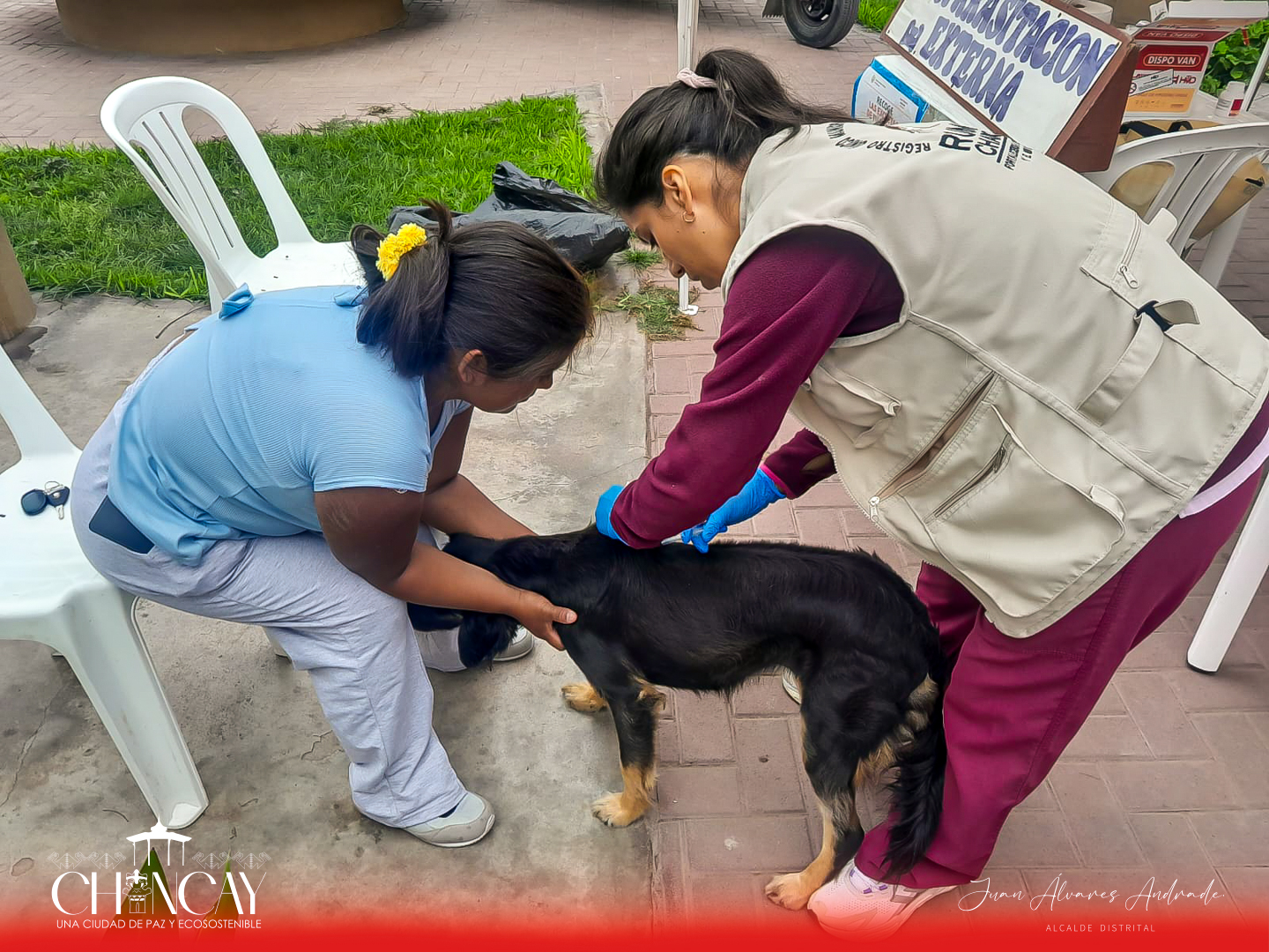 Esta iniciativa tiene como objetivo principal promover la salud y el bienestar de nuestras queridas mascotas, asegurando que estén libres de parásitos que puedan afectar su calidad de vida.