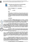 Vista preliminar de documento Resolucion Gerencial 835 QR