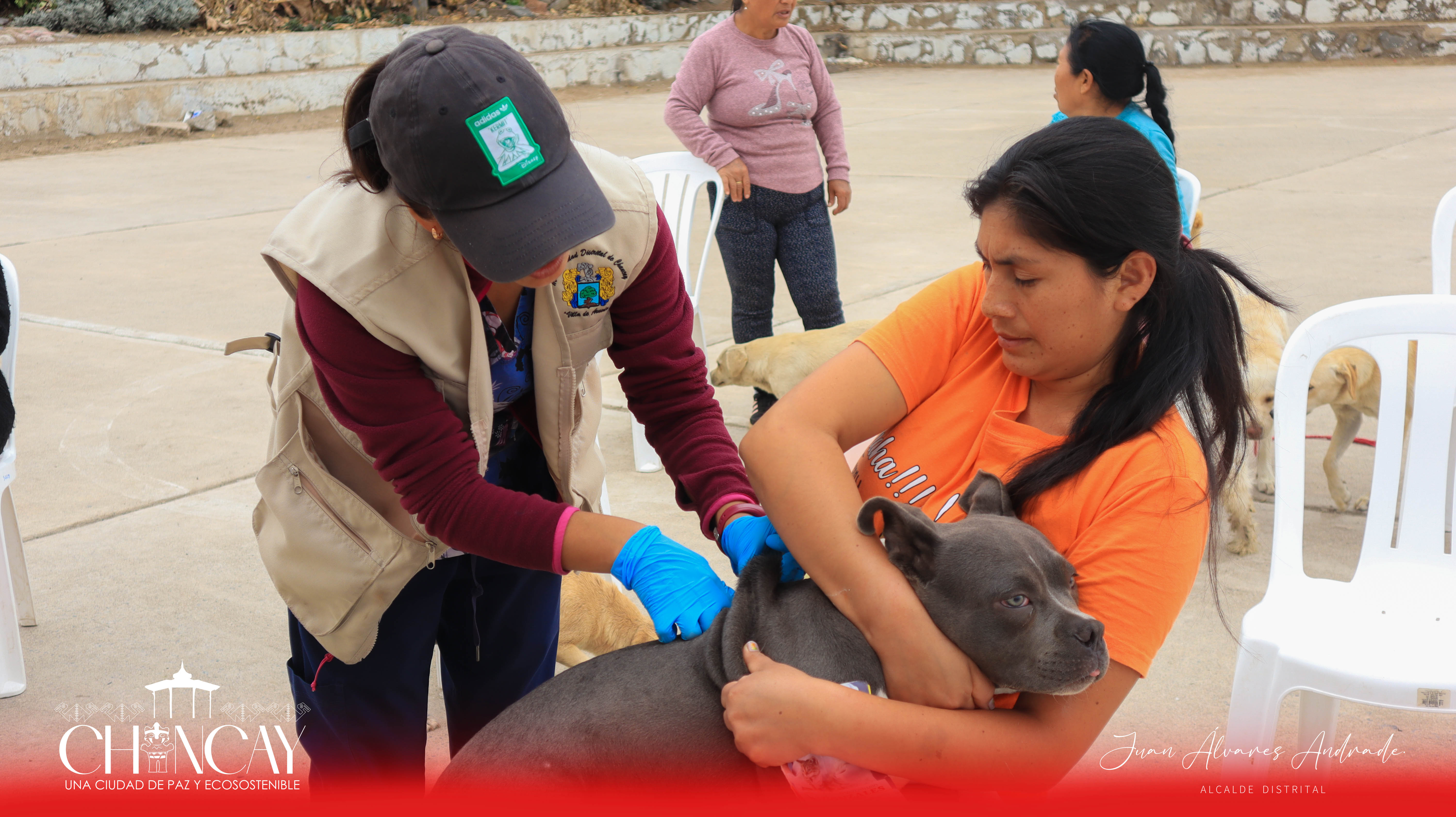 La actividad estuvo liderada por la experimentada médico veterinaria Nancy Tasayco, quien estuvo acompañada por su colega Sandra Meza y un equipo dedicado de colaboradores.