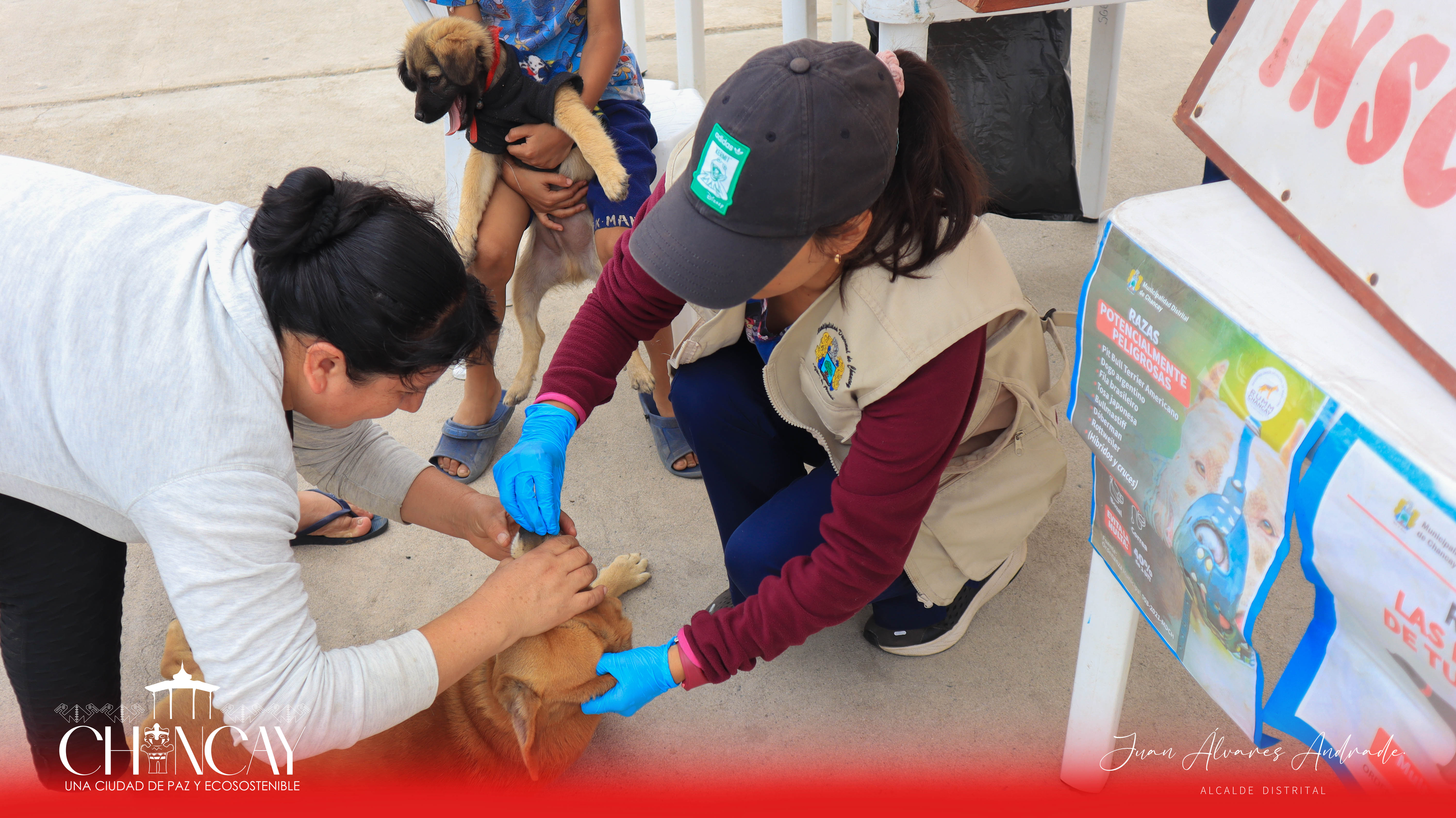 La actividad estuvo liderada por la experimentada médico veterinaria Nancy Tasayco, quien estuvo acompañada por su colega Sandra Meza y un equipo dedicado de colaboradores.
